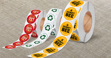 Circle Collection - 4OVER4