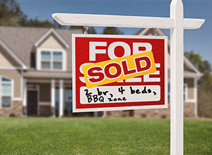 Dry Erase Collection