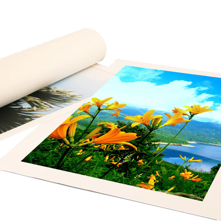 Cheap Rolled Canvas Prints