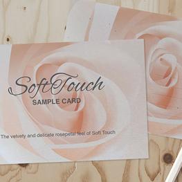 soft touch postcards