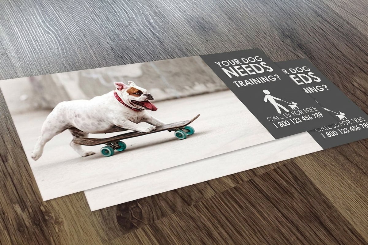 Professional statement stuffers printing - existing_product 2 by 4OVER4