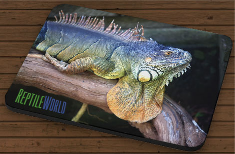 How Custom Mousepads Provide Practical Features and Professional Quality - Example 7