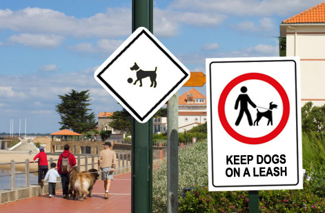 Yard Signs: Practical Options, Materials, and Designs for Effective Messaging - Example 10