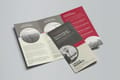 Folded Flyers