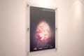 Large Format Posters