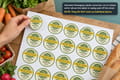 Standard Packaging Labels