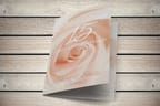 Velvet Invitations