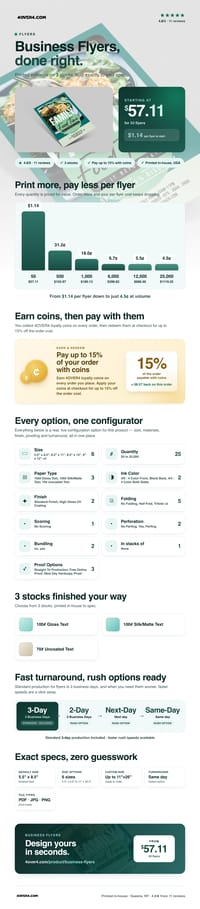 Business Flyers pricing infographic