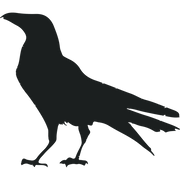 Corvus Coffee Roasters logo
