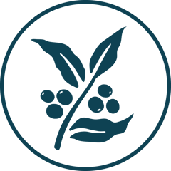 George Howell Coffee logo
