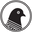 Pavement Coffeehouse logo