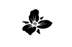 Trillium Brewing Company logo