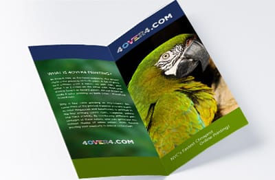 Real customer brochure print 5
