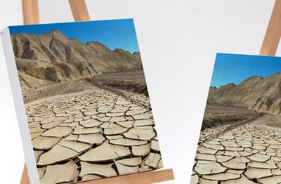 Real customer canvas print print 2