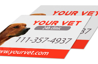 Real customer car magnet print 5