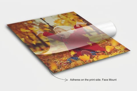 Front Adhesive Vinyl