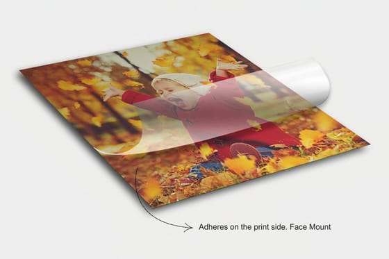 The Banner Specs Worth Confirming Before You Approve a Quote