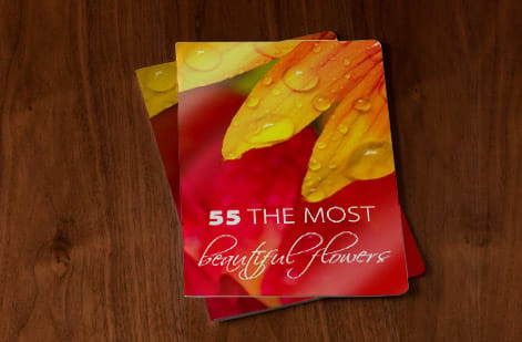 4OVER4.COM Booklet Printing Showcase: Real Customer Designs, customer work 11