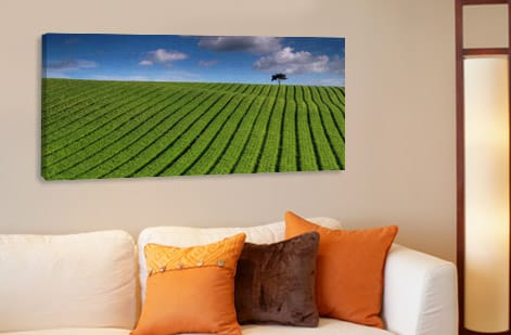 4OVER4.COM Canvas Prints: Real Customer Designs on Display, customer work 12
