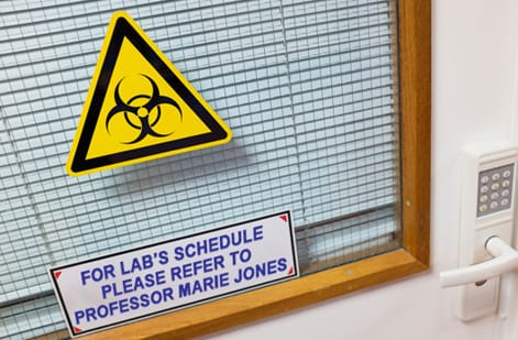 Window Graphics Showcase: Real Customer Designs, customer work 11