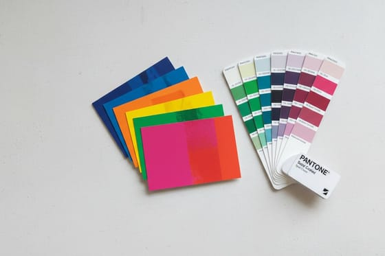Pantone PMS spot color