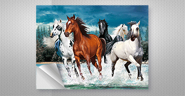 3D Lenticular Stickers