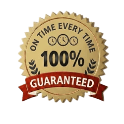 On-Time Delivery Guarantee badge