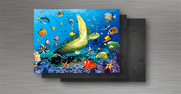 3D lenticular magnet from 4OVER4 on a refrigerator door