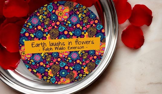 Custom printed boxes and product labels produced by 4OVER4