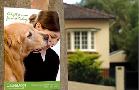 A wall of affordable poster prints in several sizes, printed by 4OVER4