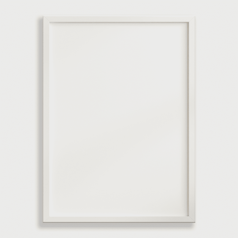 Framed Canvas