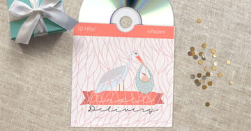 Cd Sleeves Printing - 4OVER4.COM