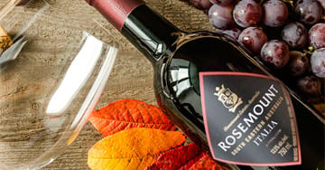 Wine Labels Printing - 4OVER4.COM