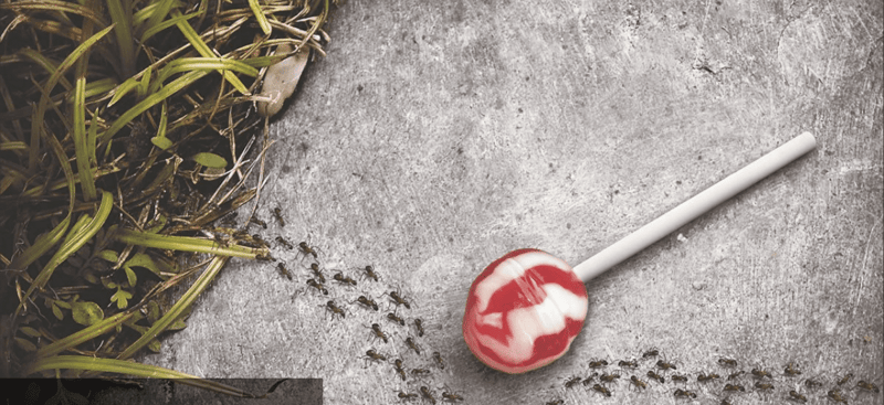  Top 10 Large Format Print Advertisements Examples