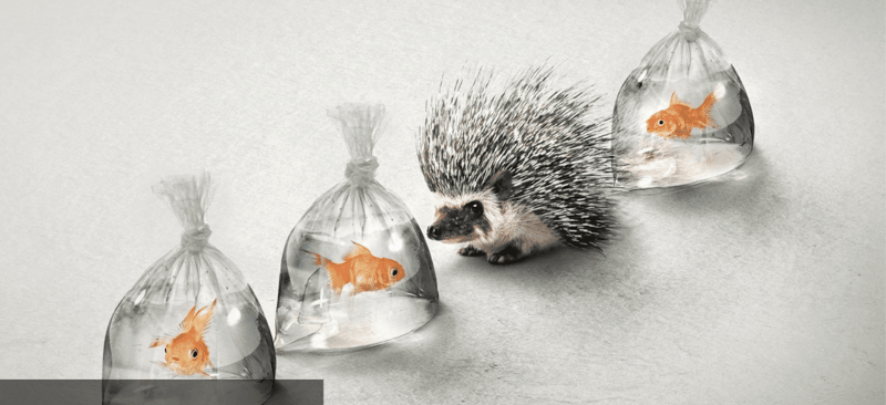  Top 10 Large Format Print Advertisements Examples