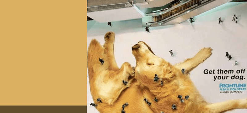  Top 10 Large Format Print Advertisements Examples