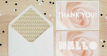 Order Premium Velvet Thank You