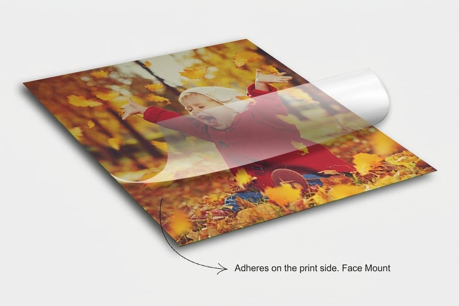 Wide format adhesive vinyl printed by 4OVER4, the material family behind custom banner work