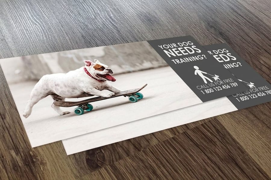 Statement stuffers printed by 4OVER4 in full color, shown flat before insertion