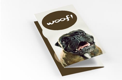 Square brochure with an image-heavy layout, printed by 4OVER4.COM