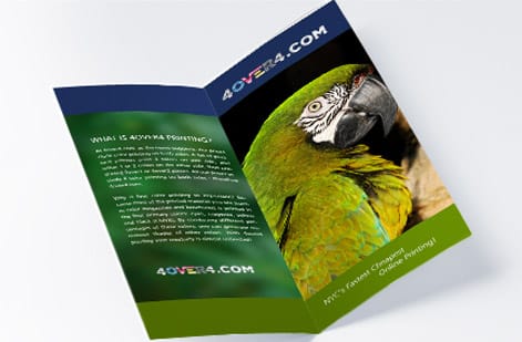 Hotel amenities panel on a custom brochure from 4OVER4