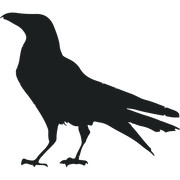 Corvus Coffee Roasters logo