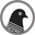 Pavement Coffeehouse logo